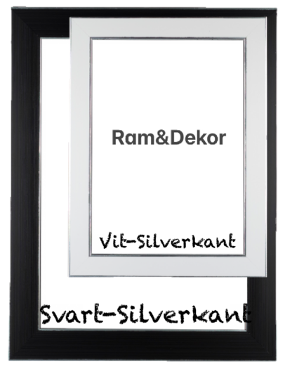 "Shine" Svart-silver/Vit-silver 20-14