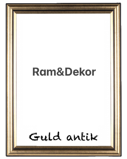 "Profil smal" Brun/Brun-guld/Silver antik/Guld antik 15-14 - Bild 5