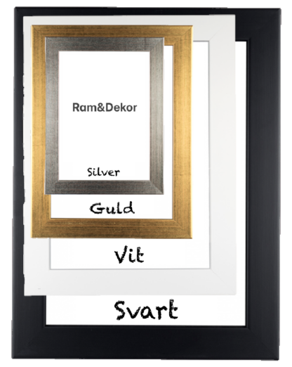 "Rejäl" Svart/Vit/Guld/Silver 20-33